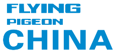 Header Logo